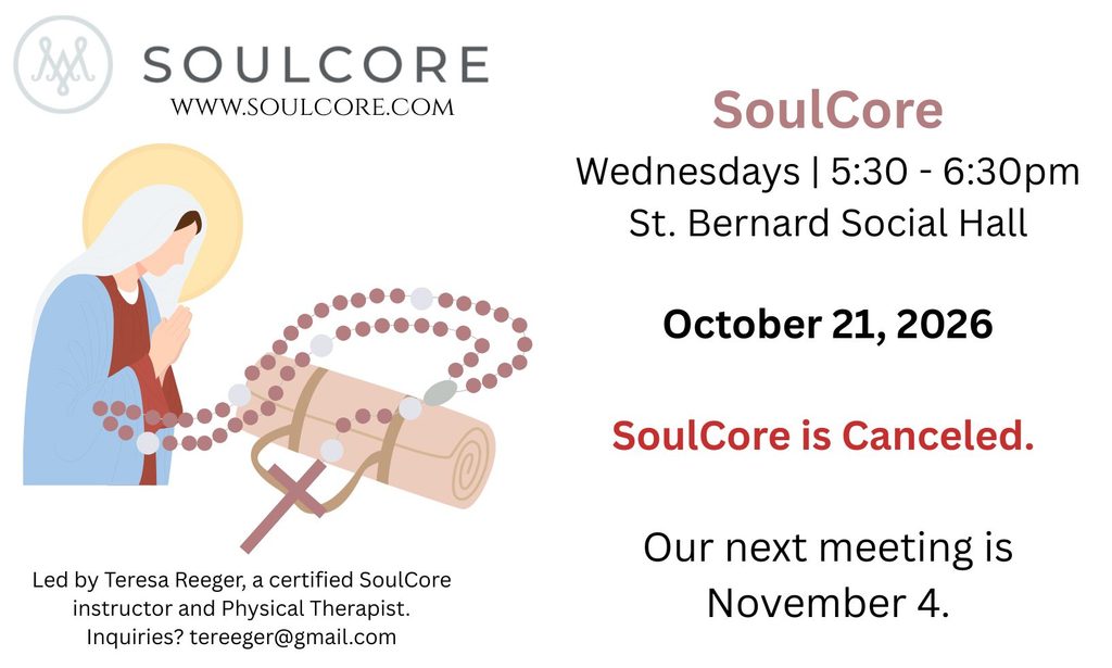SoulCore canceled